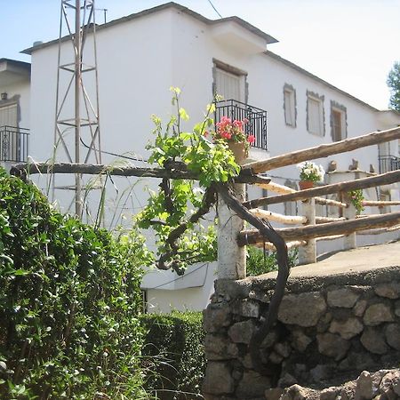 Alojamiento Rural Mirador Del Avellano Alpujarra De La Sierra Exteriér fotografie